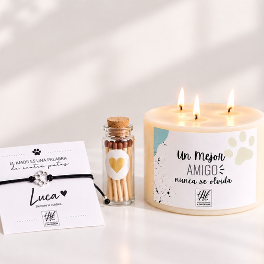 Box Luz Mascotas