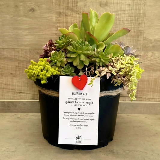 Box Jardín de Amor