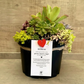 Box Jardín de Amor