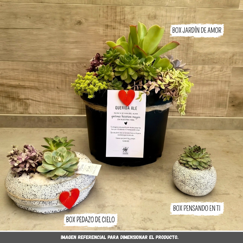 Box Jardín de Amor
