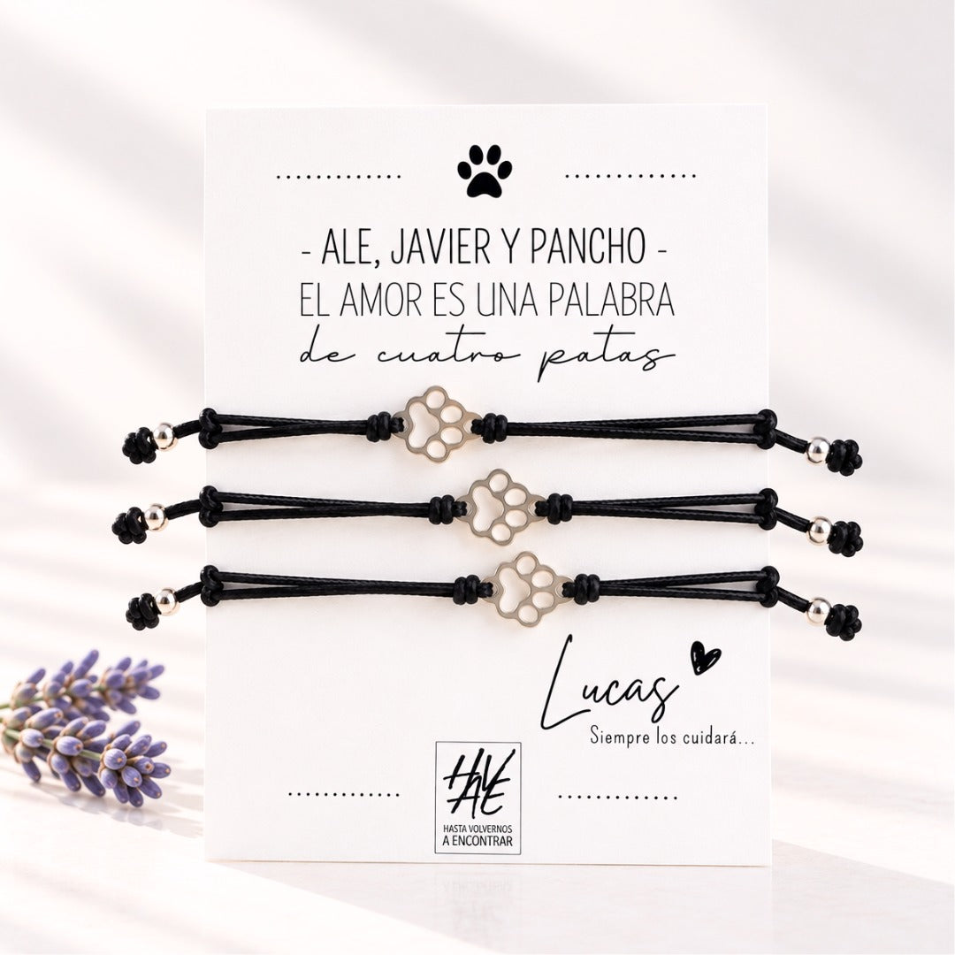 Box Luz Mascotas