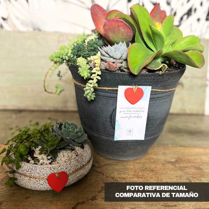 Box Jardín de Amor